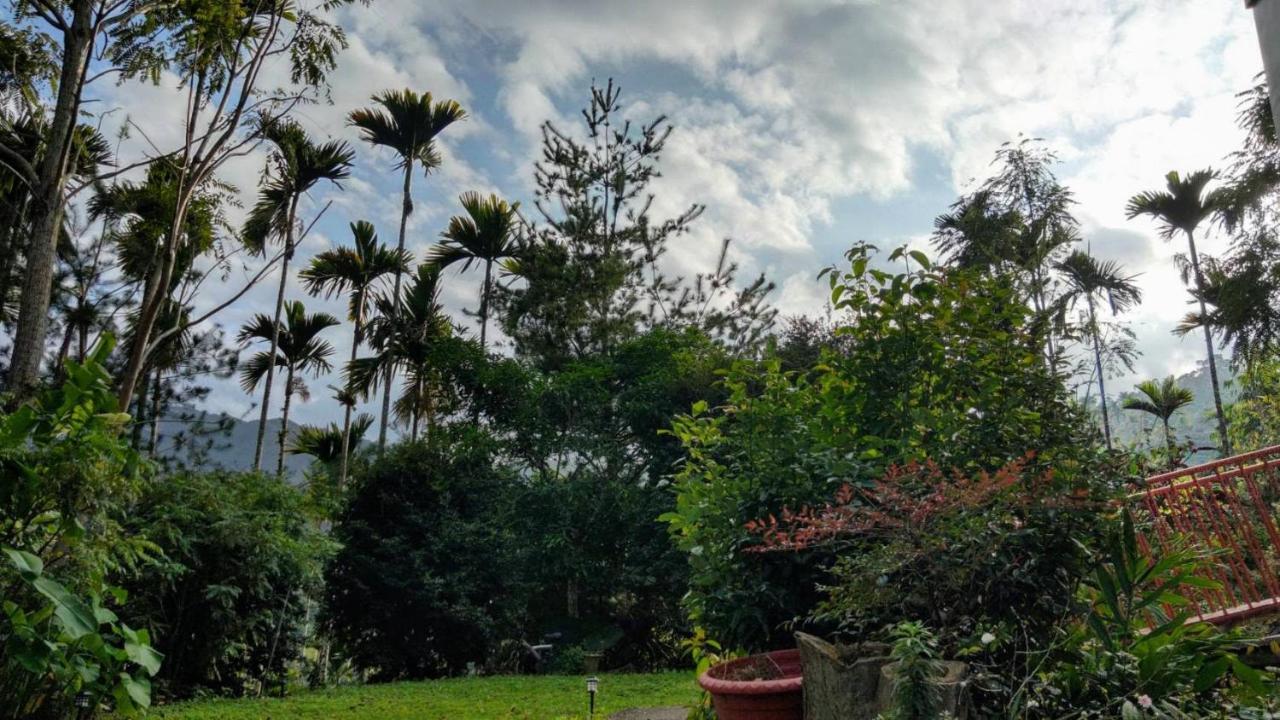 Rainy Pleasure Apartment Meishan ภายนอก รูปภาพ