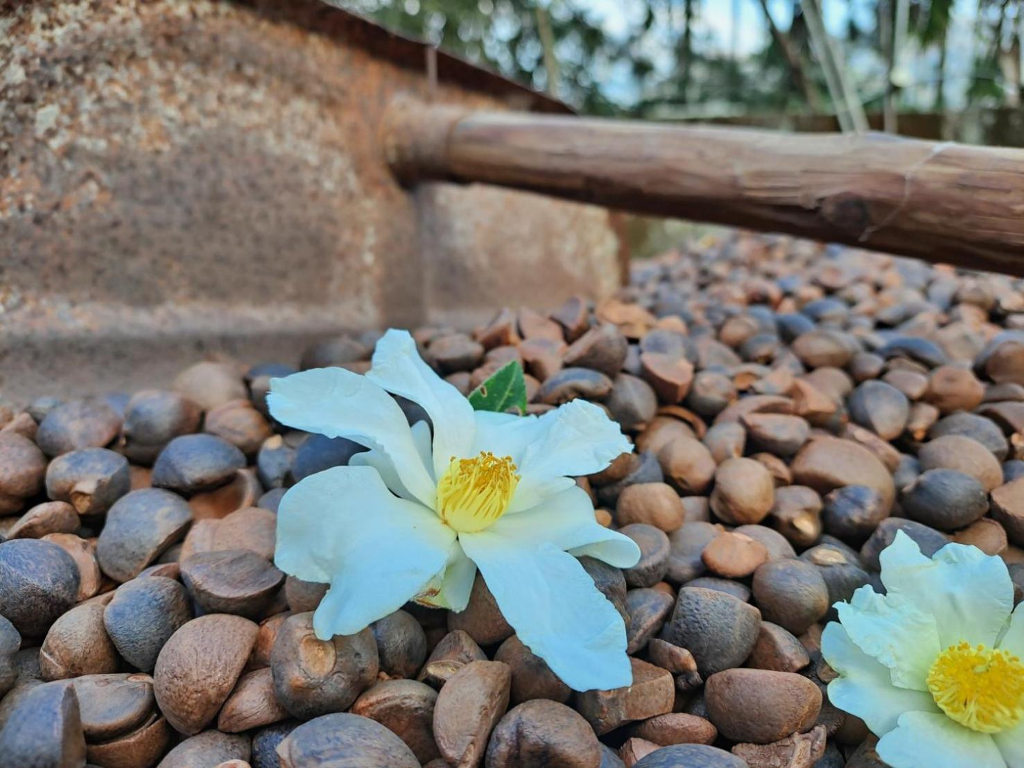 Rainy Pleasure Apartment Meishan ภายนอก รูปภาพ